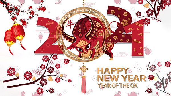 QHDC Wishes All Our Customers Happy Spring Festival